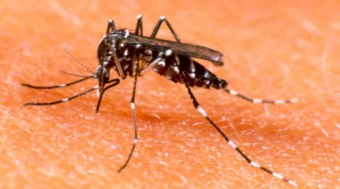Cómo incide la vacunación contra el dengue en niños
