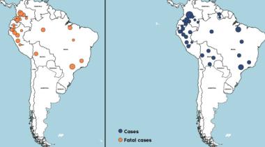 Alertan por el impacto de restringir la vacuna contra la fiebre amarilla