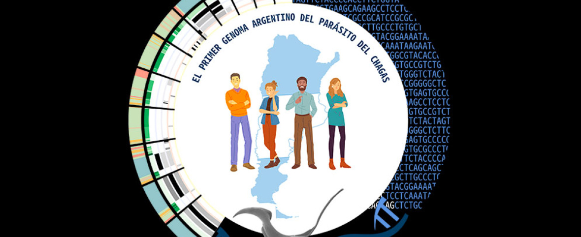 Desarrollan una herramienta que podría mejorar la investigación sobre el Chagas y abrir nuevas vías para diagnóstico y tratamientos