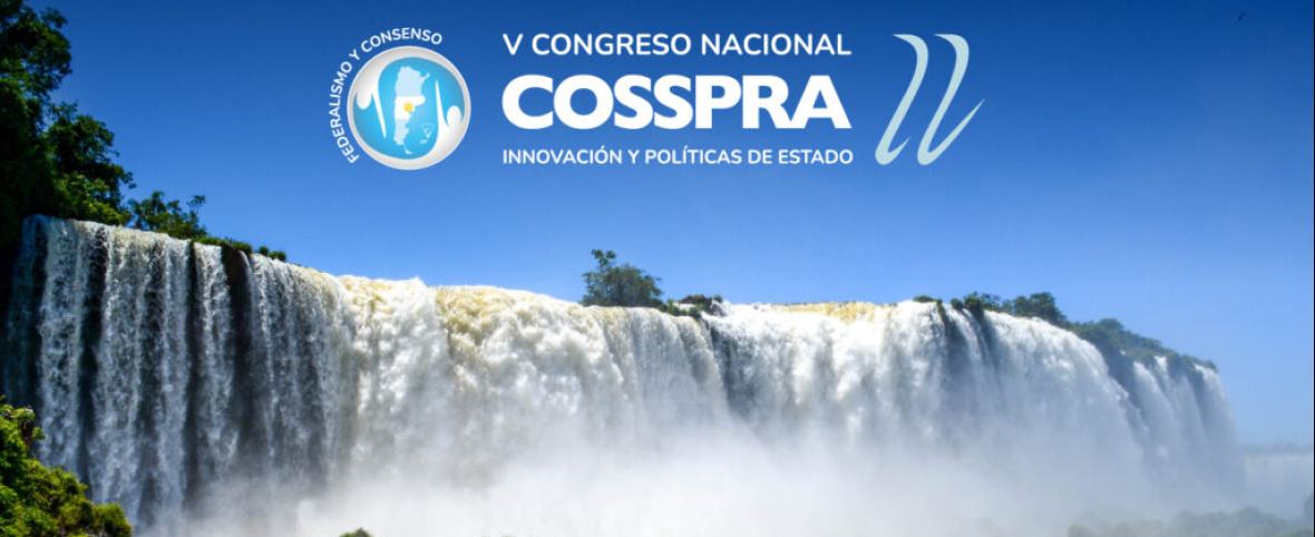 El futuro del sistema de salud argentino se debate en Puerto Iguazú