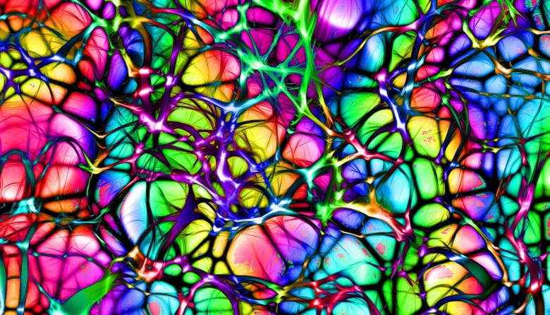 Revelan cómo las neuronas se comunican entre sí 
