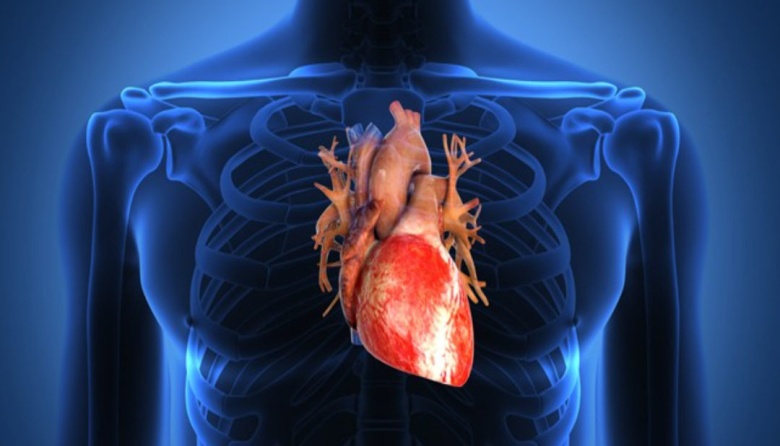 El control cardiológico es clave en adultos jóvenes con enfermedades congénitas