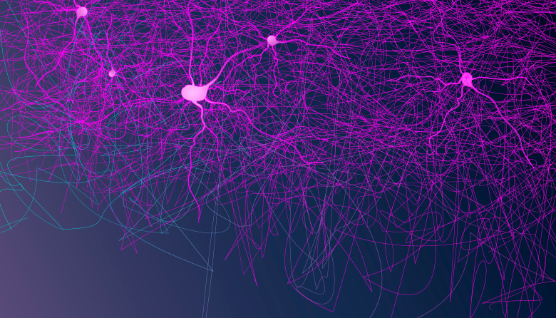 Viaje al interior de una neurona reloj: cómo cambia la energía celular a lo largo del día
