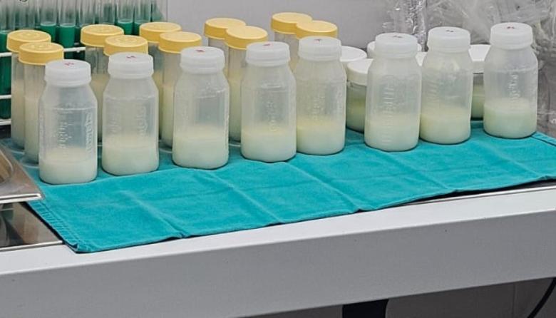 Leche humana donada: el desafío de construir una red federal para bebés prematuros