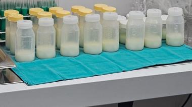 Leche humana donada: el desafío de construir una red federal para bebés prematuros