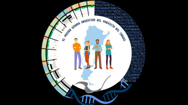 Desarrollan una herramienta que podría mejorar la investigación sobre el Chagas y abrir nuevas vías para diagnóstico y tratamientos