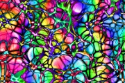 Revelan cómo las neuronas se comunican entre sí 