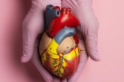 La miocardiopatía hipertrófica obstructiva sintomática tiene un nuevo medicamento