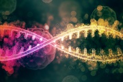 Cáncer hereditario: claves para leer la historia genética y anticiparse