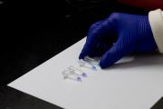 Chagas: el control neonatal es la oportunidad justa