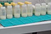 Leche humana donada: el desafío de construir una red federal para bebés prematuros