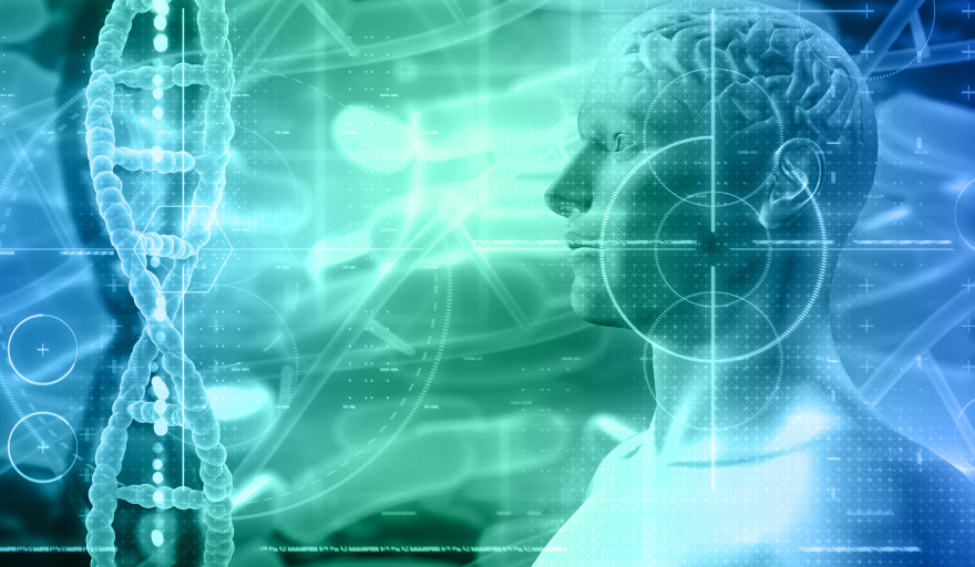 Un nuevo software con inteligencia artificial ayuda a estudiar proteínas asociadas al Alzheimer y otras enfermedades